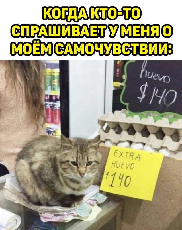 Картинки и мемы для настроения - 119