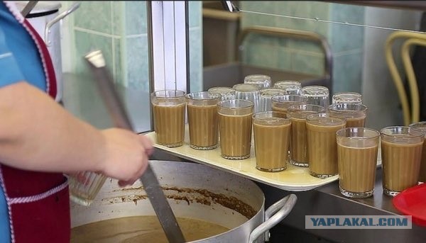 Аппетитный фотоснимок из школьной столовой.

Котлетки с пюрешкой