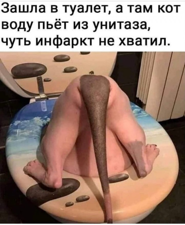 Картинки и мемы для настроения - 133