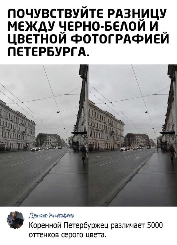 Картинки и мемы, выходные продолжаются