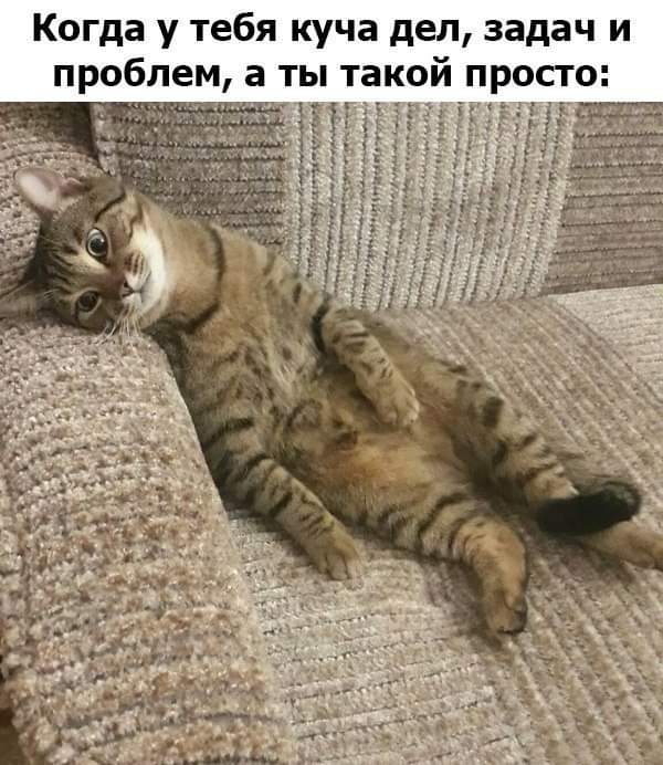 Приколы (баяны)