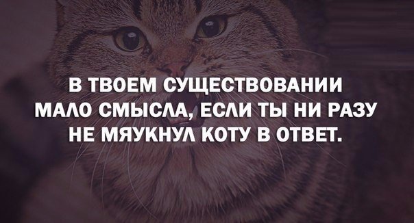 Мемасы из мемори (баяны)
