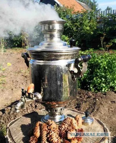 Находки и загадки. Отчет за зимний период