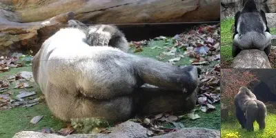 Есть ли у человека душа?