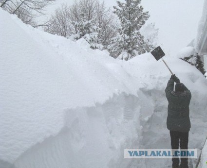 Замело по самое не балуйся