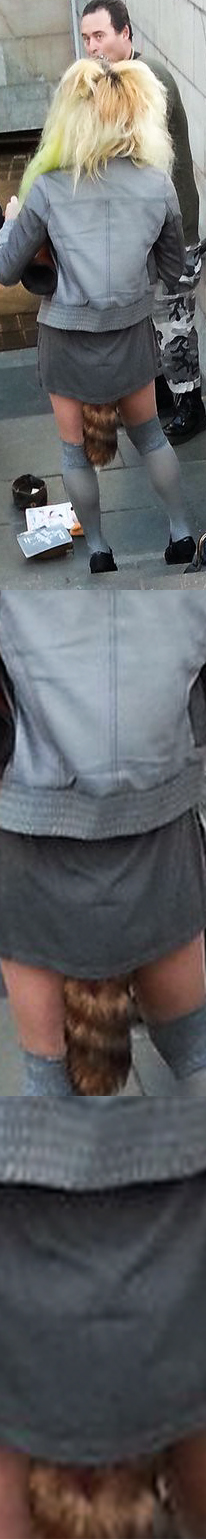 Откуда Хвост Растет!