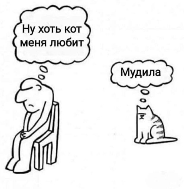 Кот Сырник