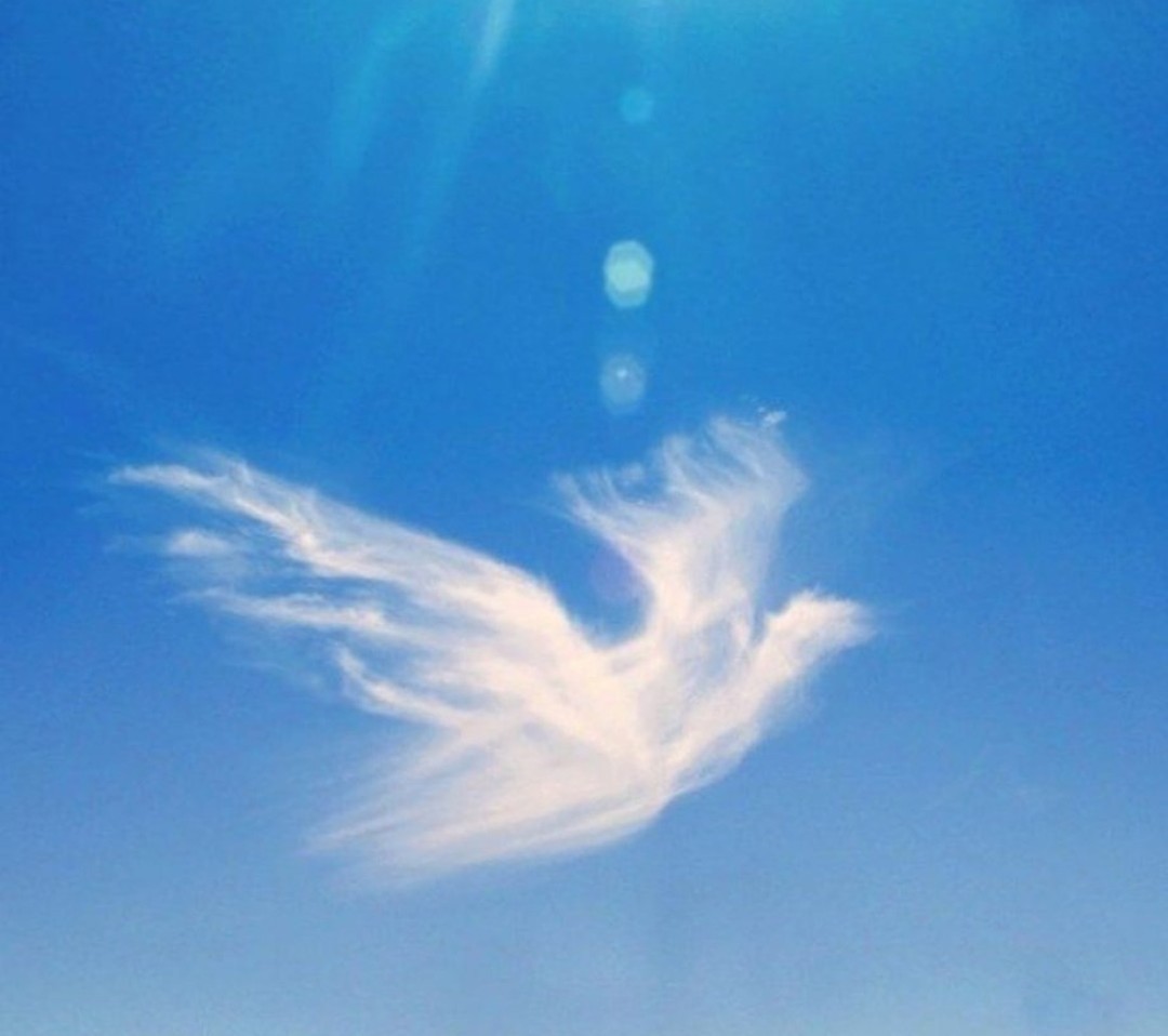 Родники небесные. Ангел в небе. Ангел в небесах. Небесные ангелы. Птица из облаков.