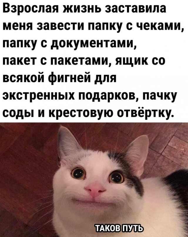 Так себе картинки 04.11.23