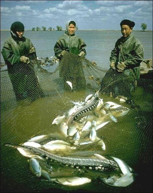Фотографии из прошлого нашей страны – 65