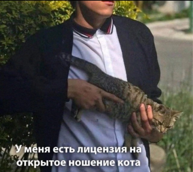Сколько-то картинок