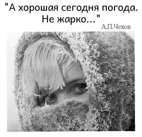 Прикольные и просто красивые картинки 13.12.2024