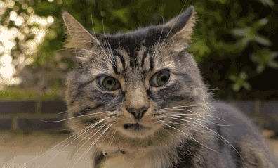 Жена не даёт сбоку