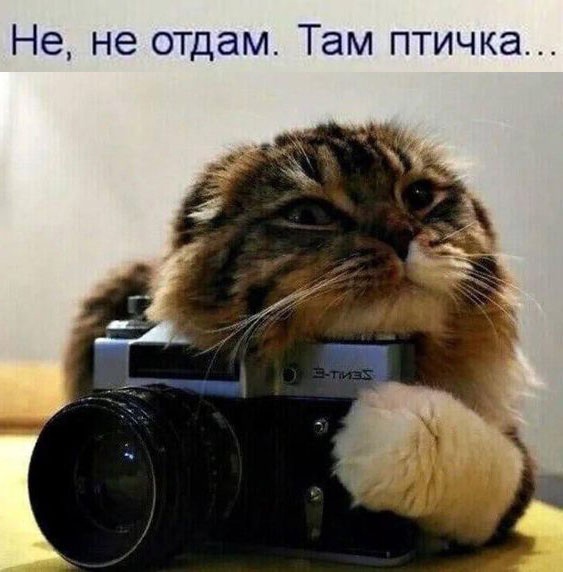 Так себе картинки 04.05.25