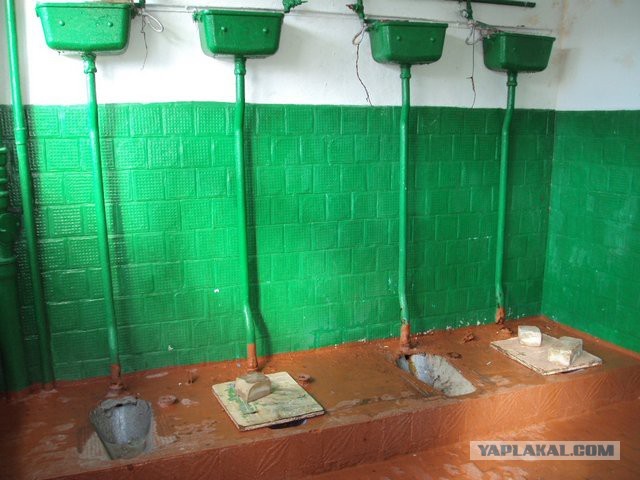 Бренд туалетной бумаги из Великобритании выпустил гениальную рекламу, которая призывает школьников не стесняться ходить срать в школе
