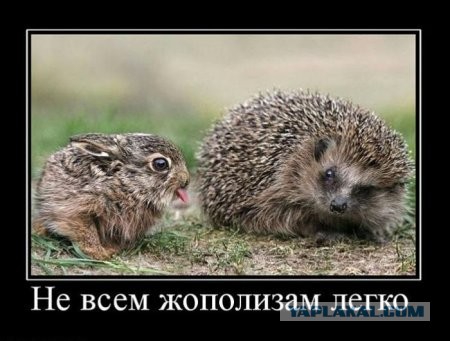 Как тролли любят Россию.