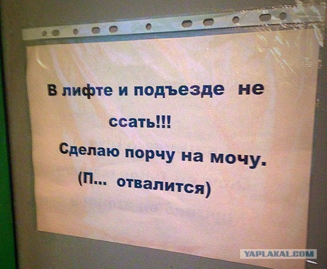Пятничные бояны