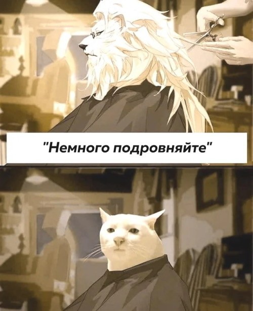 Так себе картинки 23.06.25