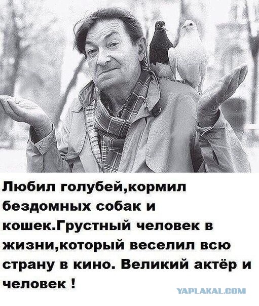 Депутат Заксобрания Свердловской области Вячеслав Вегнер предложил штрафовать за подкармливание бездомных собак