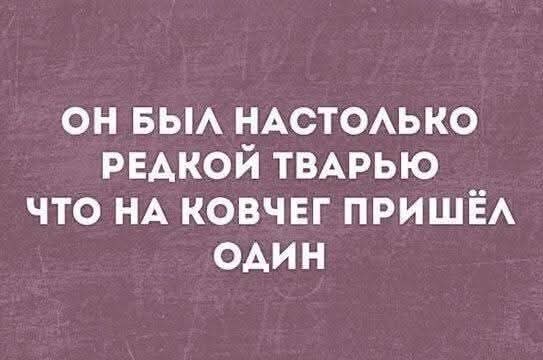 Картинки для деградации 43 (разной степени свежести)
