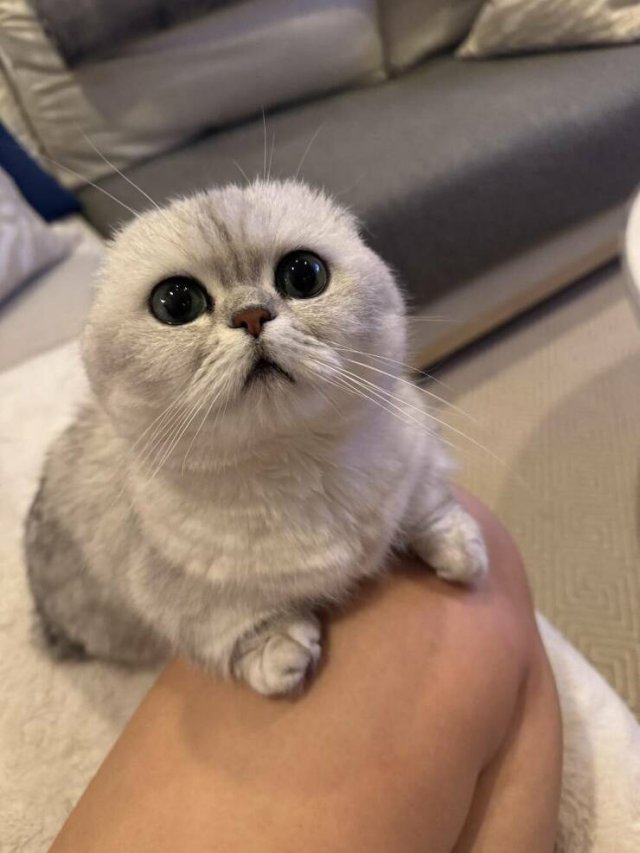 Так себе картинки 24.09.25