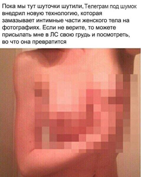 Мой кот - дизайнер интерьеров.