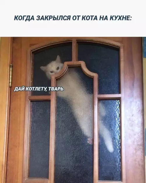 Картиночки, баянчики 25 февраля