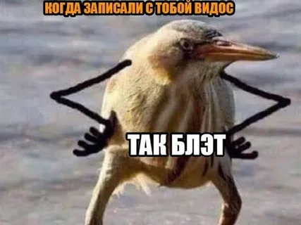 Руки в боки .
