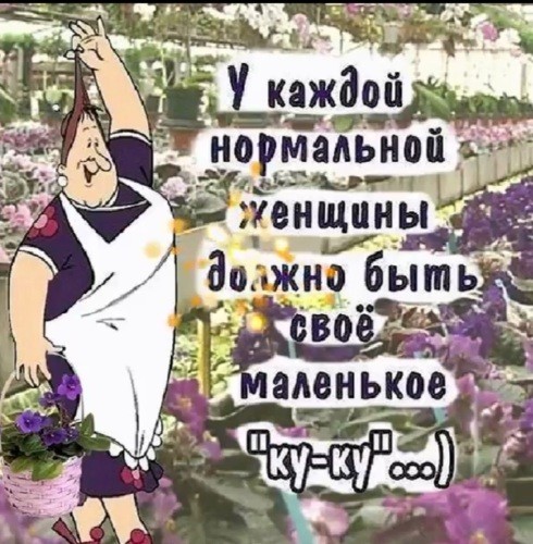 Аспарагусы