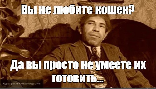 Кинза - кореандр
