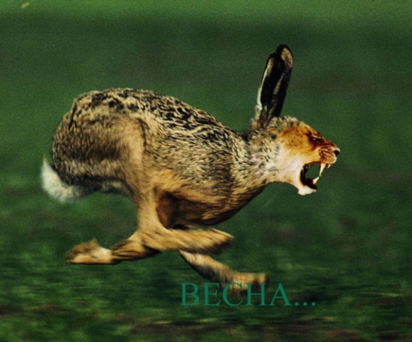 Уже скоро! На всех улицах страны!
