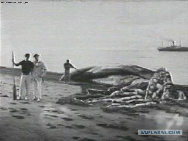 Что за нах...?!