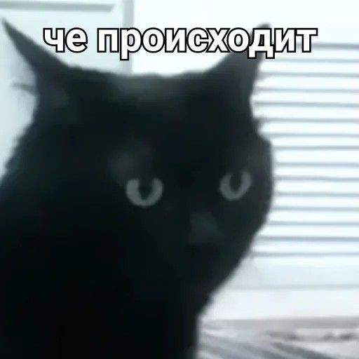 Если что, то выручка у ВинРара примерно 35млн в год. Чистая прибыль 3-5
