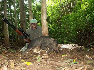 Пневматические винтовки