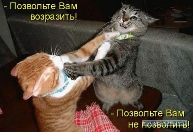 Не про олимпиаду