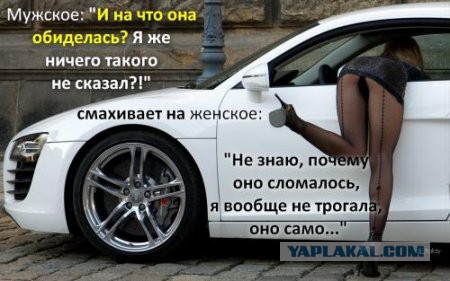 Гражданка Латвии о русских мужчинах
