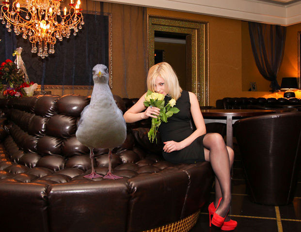 Поклонская и господин Чайка