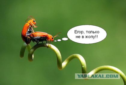 Позитивные картинки