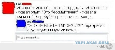 Незатейливый отдых наших сограждан