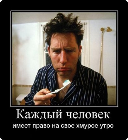 Добряки, плюсующие всех подряд