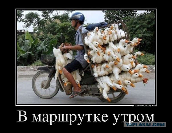 Веселые картинки.