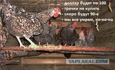 Курс евро впервые в истории достиг 65 рублей