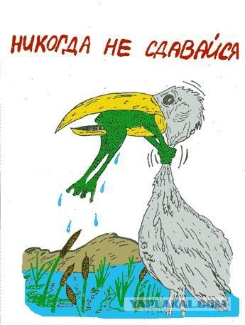 Съеденные заживо.
