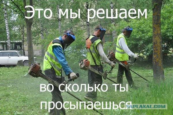 За нарушение утреннего сна россиян в выходные