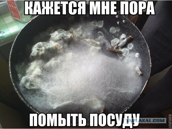 Вторничные картинки