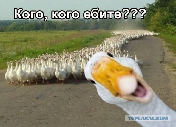 КВДрама.