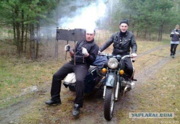 Прикольные картинки