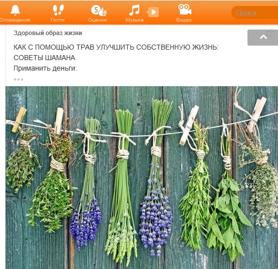 Прикольные объявления и надписи