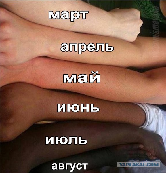 Смешные картинки из всея интернета