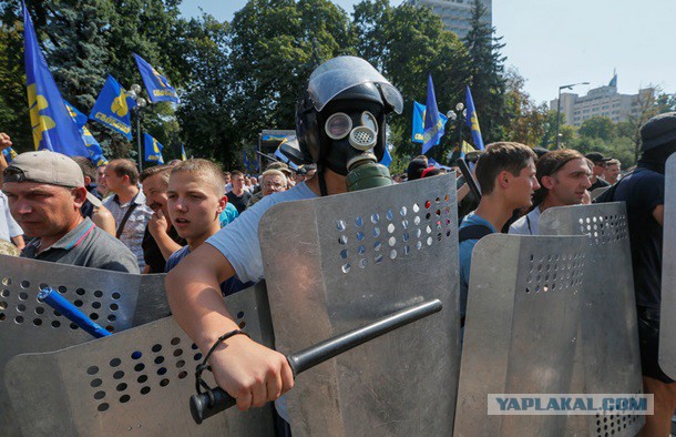 Митингующие в Киеве штурмуют здание Рады